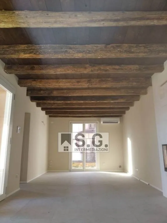 Toad - Luxury Villa with Private Garden in Mirano