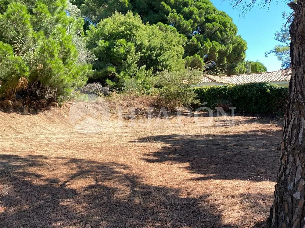 Aed - Buildable Plot with Sea Views in Supermaresme
