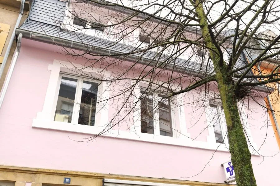Välivaade - Studio with Immediate Availability in Luxembourg