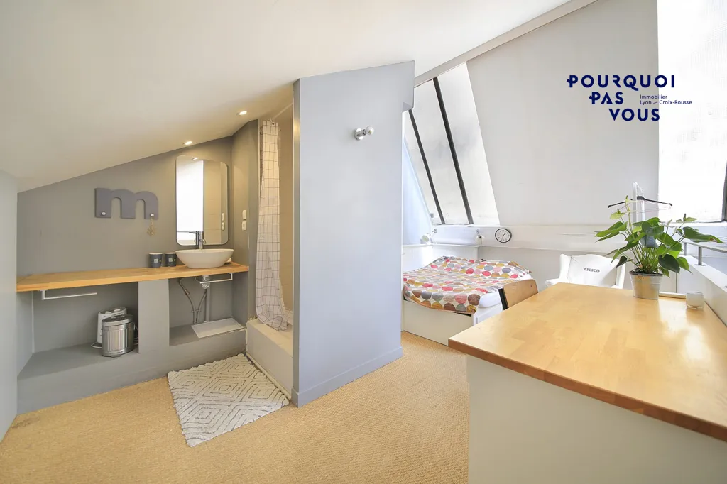 Vannitoad - Loft with Patio in Lyon 4e
