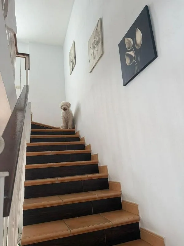 Toad - Terraced Semi-Detached House with Pool in Benahavís