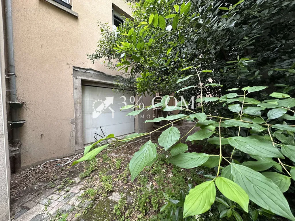 Jardin - Immeuble de Rapport à Nancy, Proche Campus ARTEM