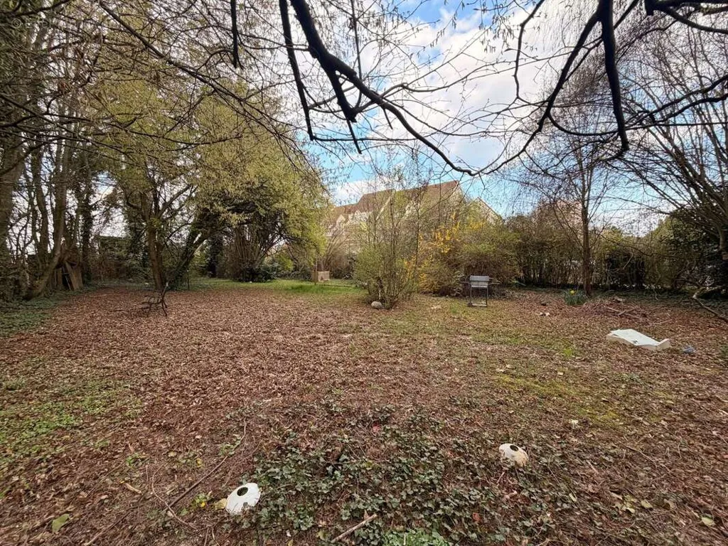 Jardin - Maison Individuelle avec Terrain à Oberhausbergen
