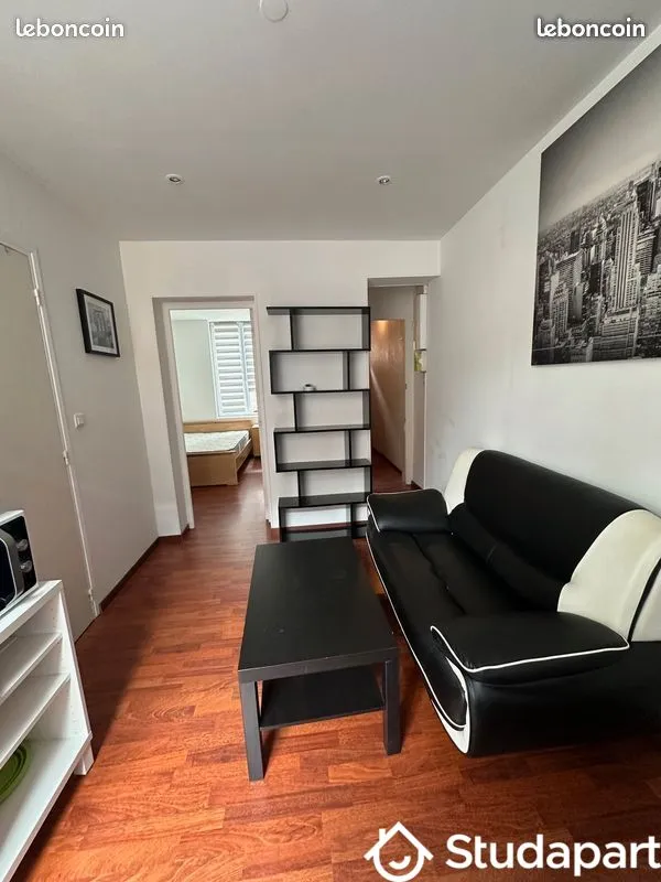 Séjour - Chambre en Colocation avec Combles Aménagés à Vauban