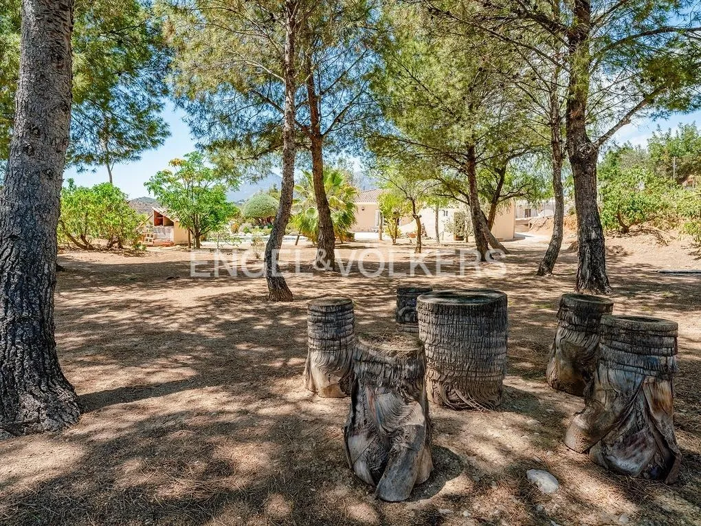 Giardino - Finca Villa with Pool in Altea