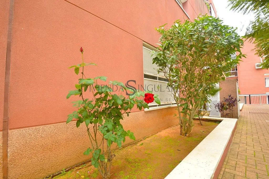 Garden - Terraced House with Terrace in El Cano, Sevilla