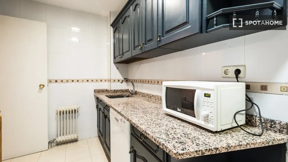 Cuisine - Shared Flat with Retiro Park View in Madrid