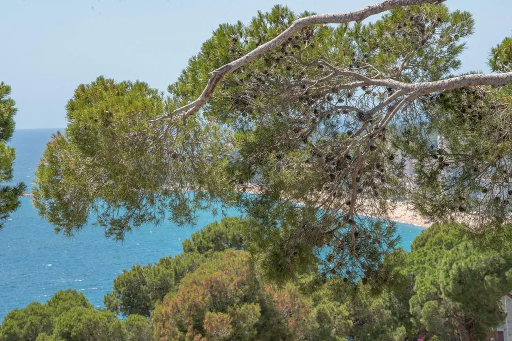 Modern Villa with Sea Views in Sant Antoni