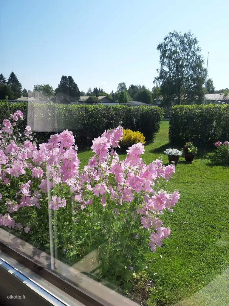 Aed - Well-Maintained Terraced House with Sauna in Helsinki