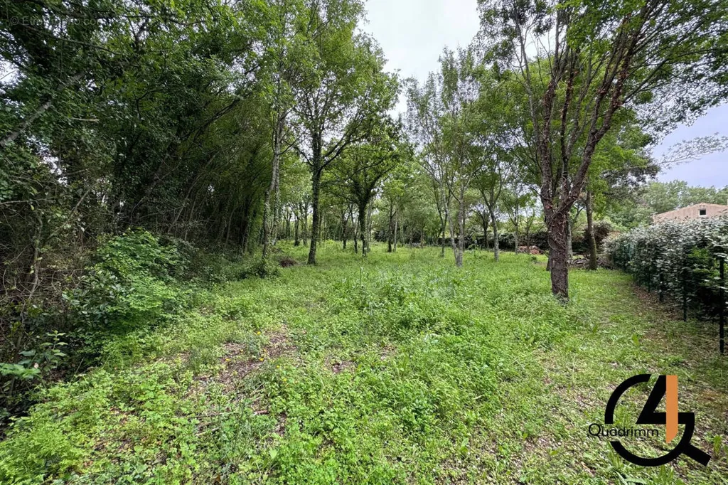 Aed - Constructible Land with Garden in Assas