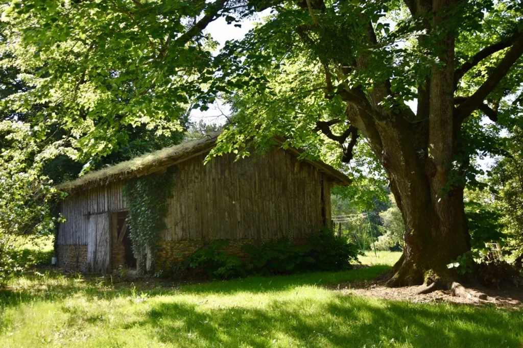 Extérieur - Maison de 8 Chambres avec Jardin et Vue à Rénover
