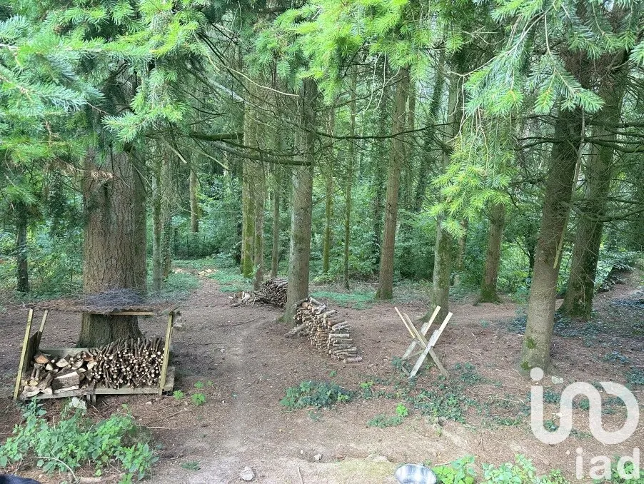 Jardin - Maison Traditionnelle avec Jardin à Kerpert
