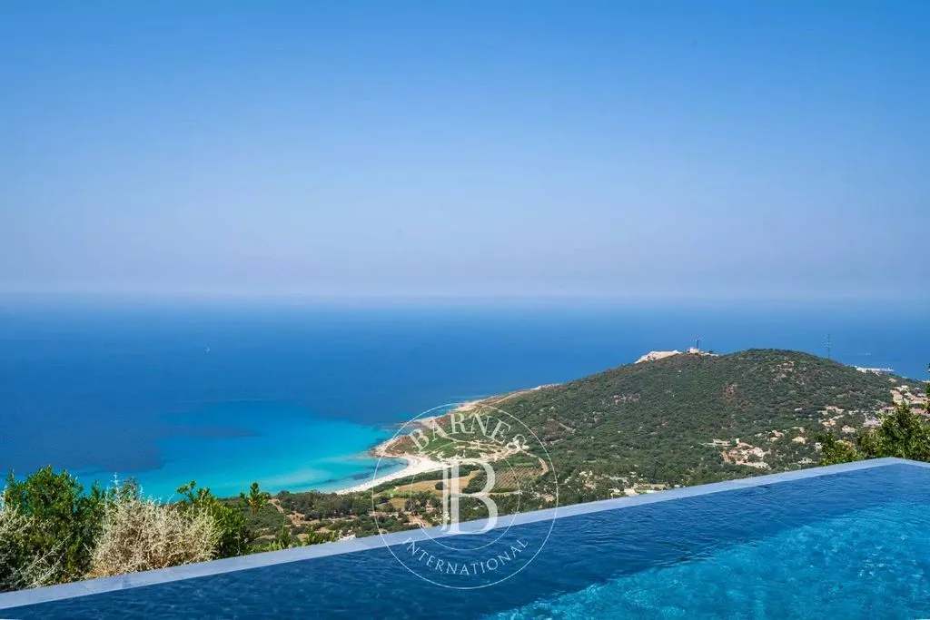 Piscine - Villa Contemporaine avec Vue Panoramique à Corbara