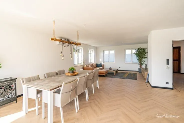 Sala da pranzo - House in Kinrooi, Limburg