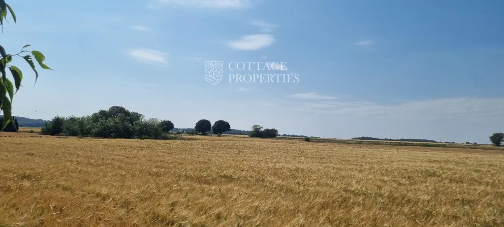 Aed - Historic Farmhouse with Renovation Potential in Serinyà