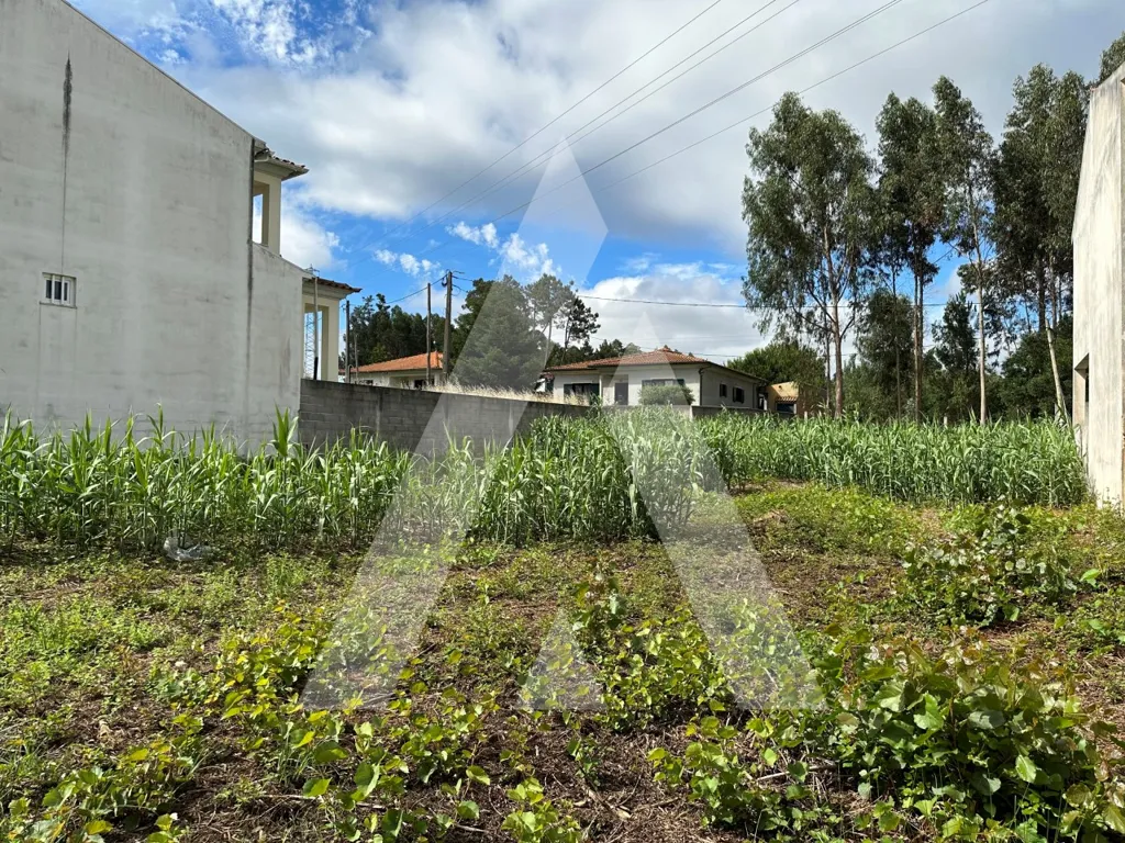Jardin - Construction Plot with Two Frontages in Bustos