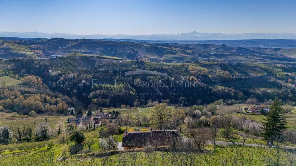 Aed - Casale with Vigneto in Mango, Langhe