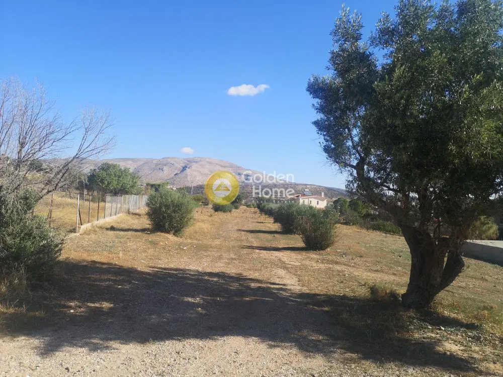 Aed - Agritourism Plot with Sea View in Anavyssos