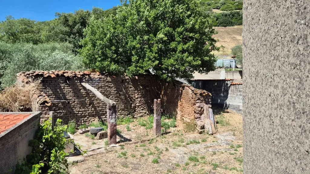 Aed - Rustic House with Olive Grove in Allai