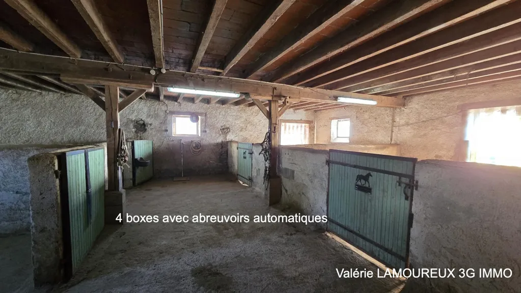Toad - Equestrian Property with Large Garden in Aigueperse