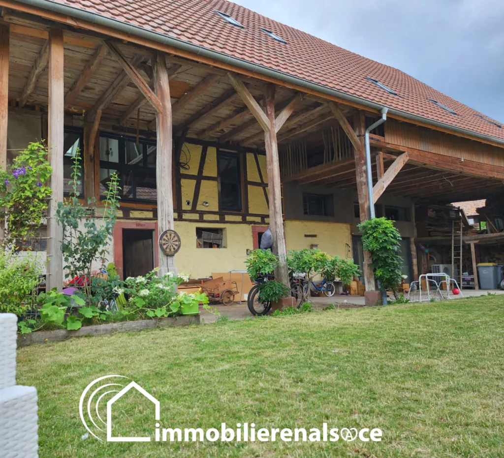 Jardin - Loft Rénové avec Vue sur L'Illwald près de Sélestat