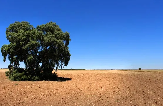 Development Plot in Roda, Albacete