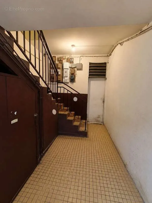 Toad - Rental Property in Central Cayenne
