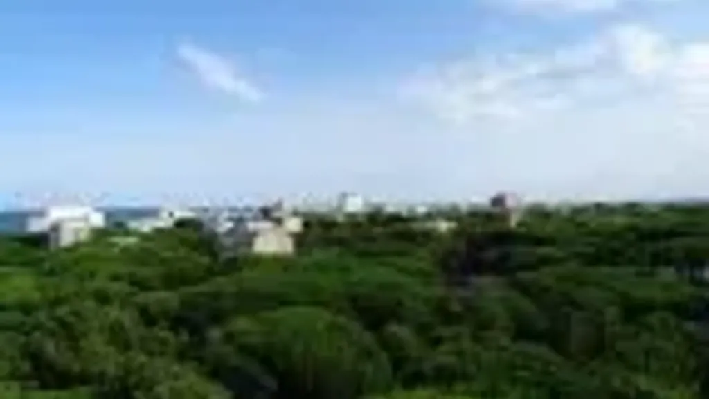 Apartment with Panoramic Sea View in Milano Marittima