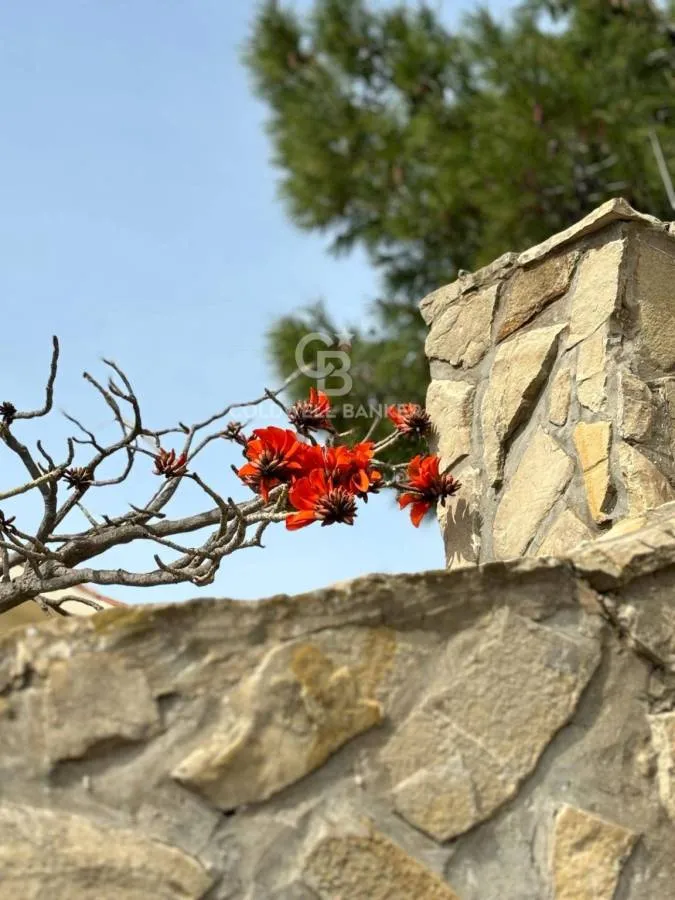 Toad - Villa with Sea View in Sciacca