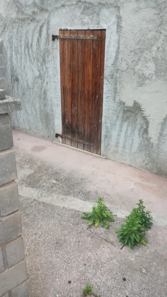 Jardin - Maison en 2 Logements avec Cour à Yenne