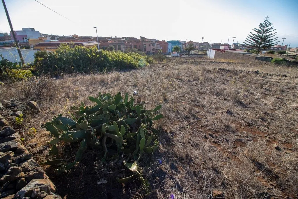 Garden - Building Land with Chalet Potential in El Rosario