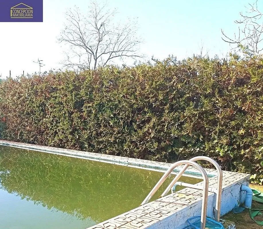 Piscina - Chalet with Pool in Alcolea