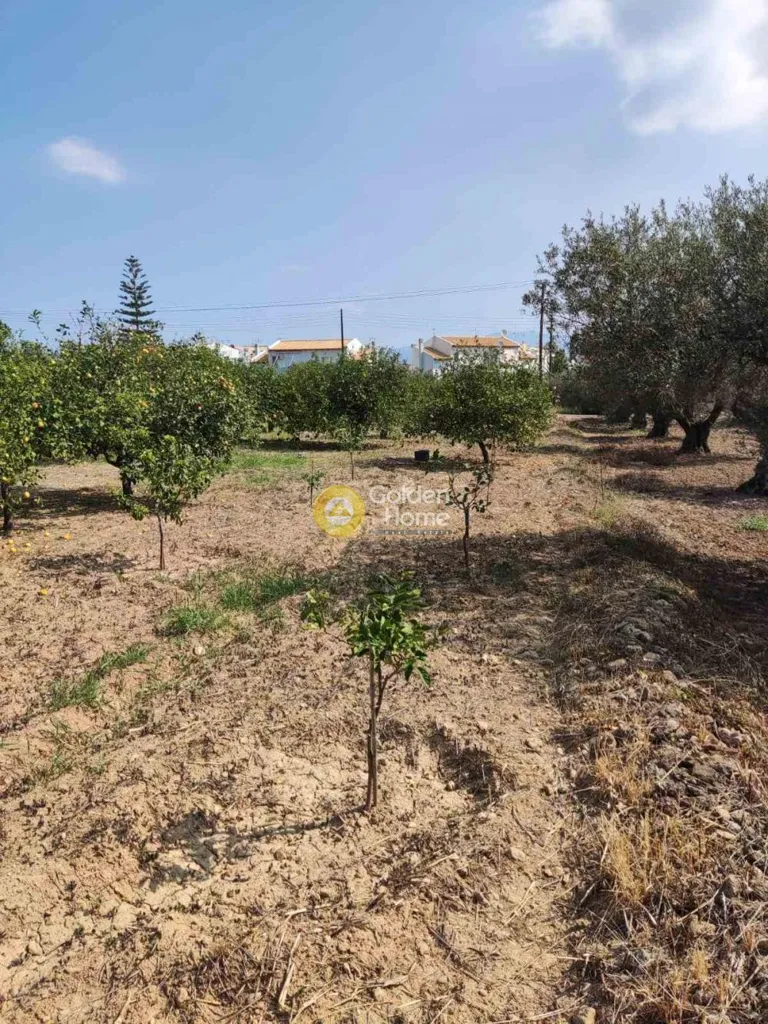 Aed - Plot with Lemon Trees in Xylokastro-Melissi