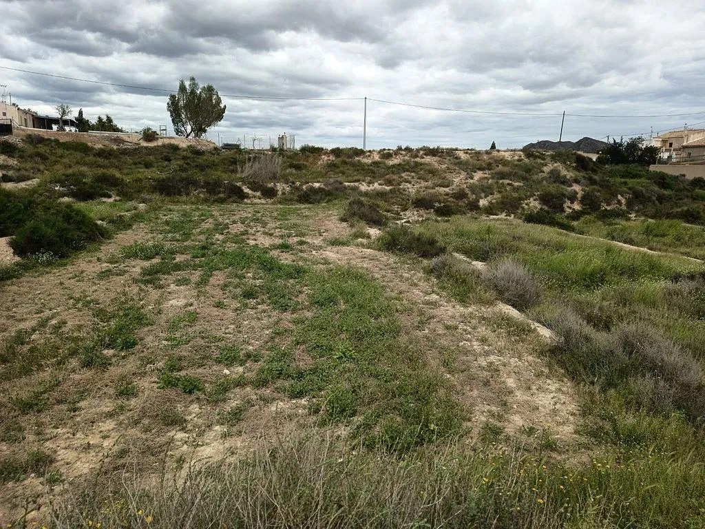 Jardin - Cave House with Potential in La Alcoraya