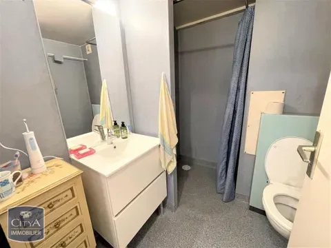 Salles de bain - Appartement Lumineux en HyperCentre de Clermont-Ferrand