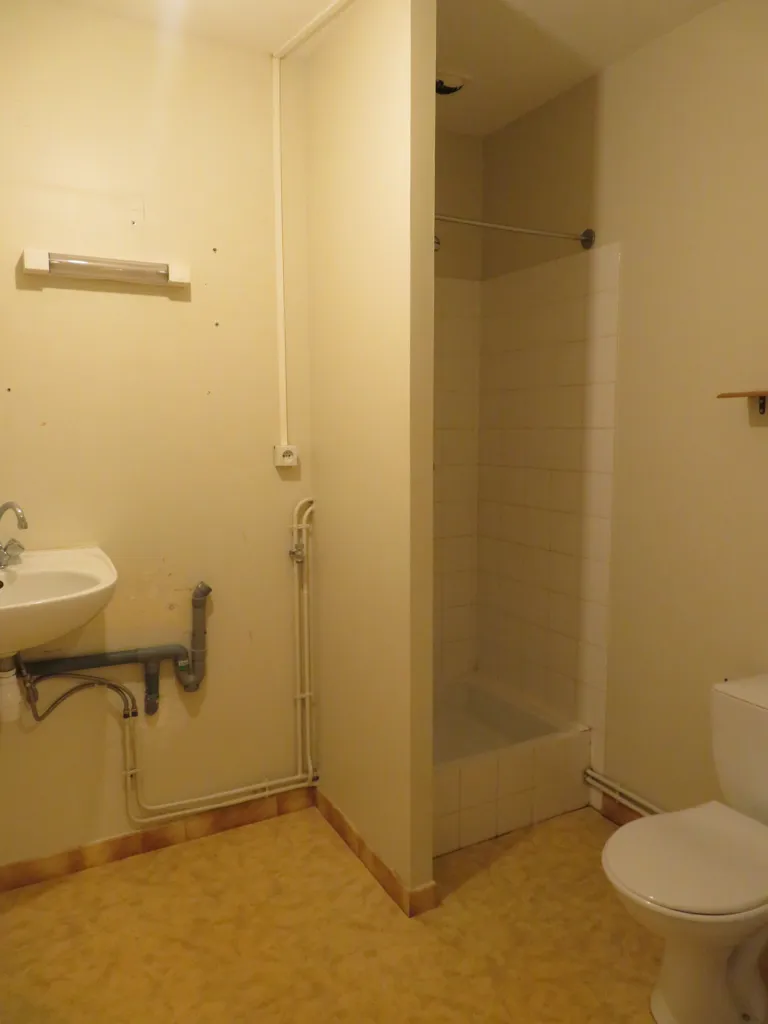 Salles de bain - Appartement Duplex en Centre-Ville