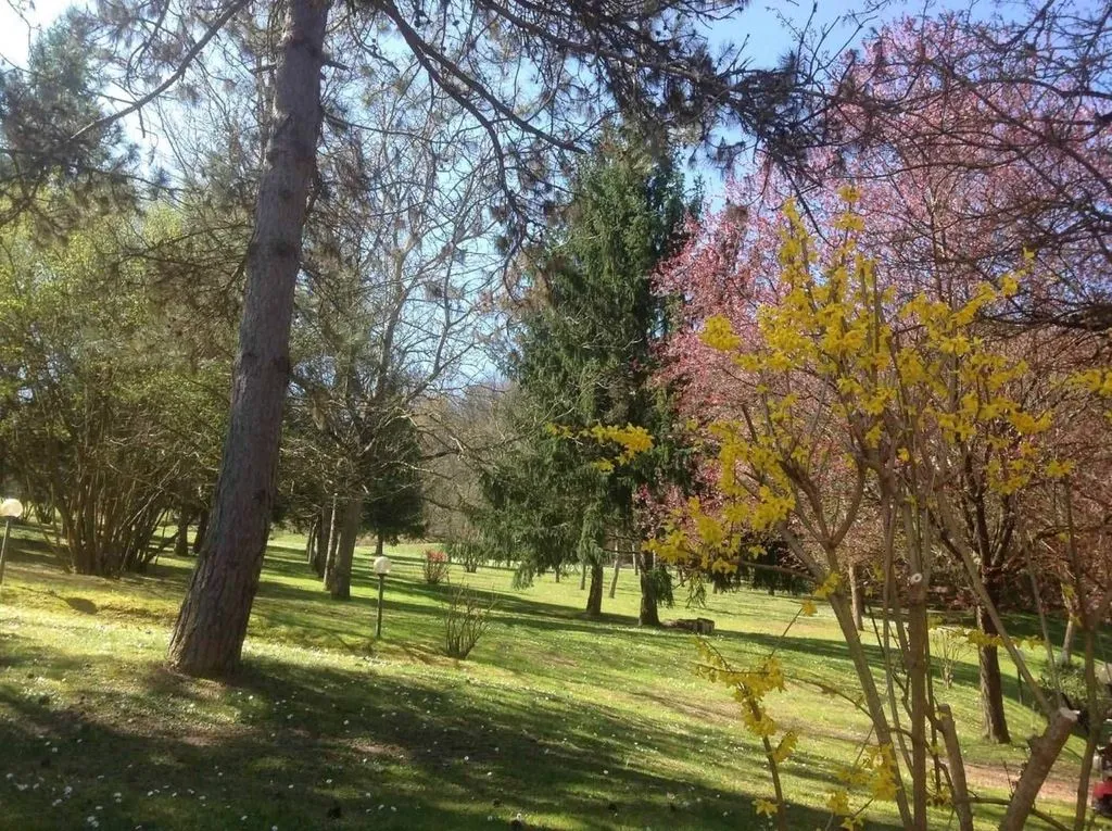 Jardin - Luxury Villa with Pool in Borgo San Lorenzo