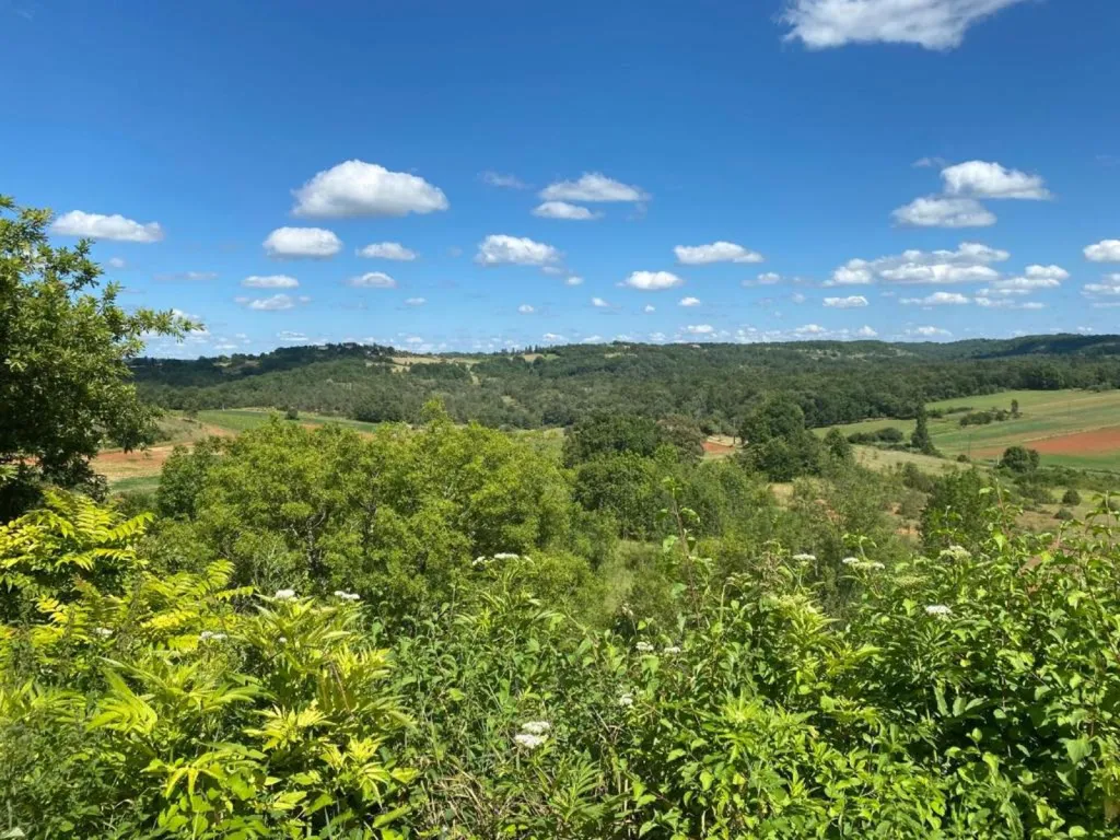 Jardin - Maison en Pierre avec Vue Vallée à Porte-du-Quercy
