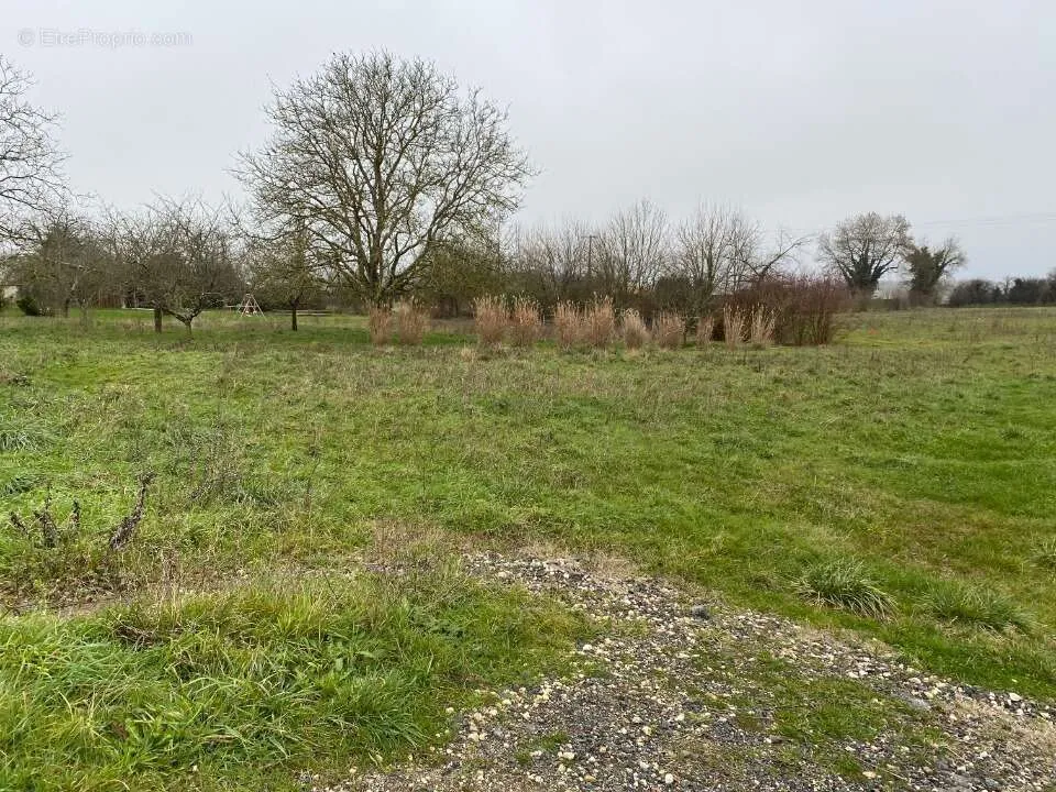 Aed - Buildable Plot with Garden in Genouillé
