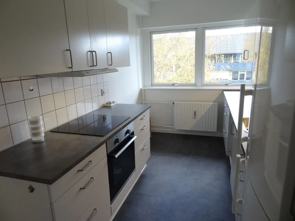Cuisine - 4-Bed Apartment with Balcony in Viborg