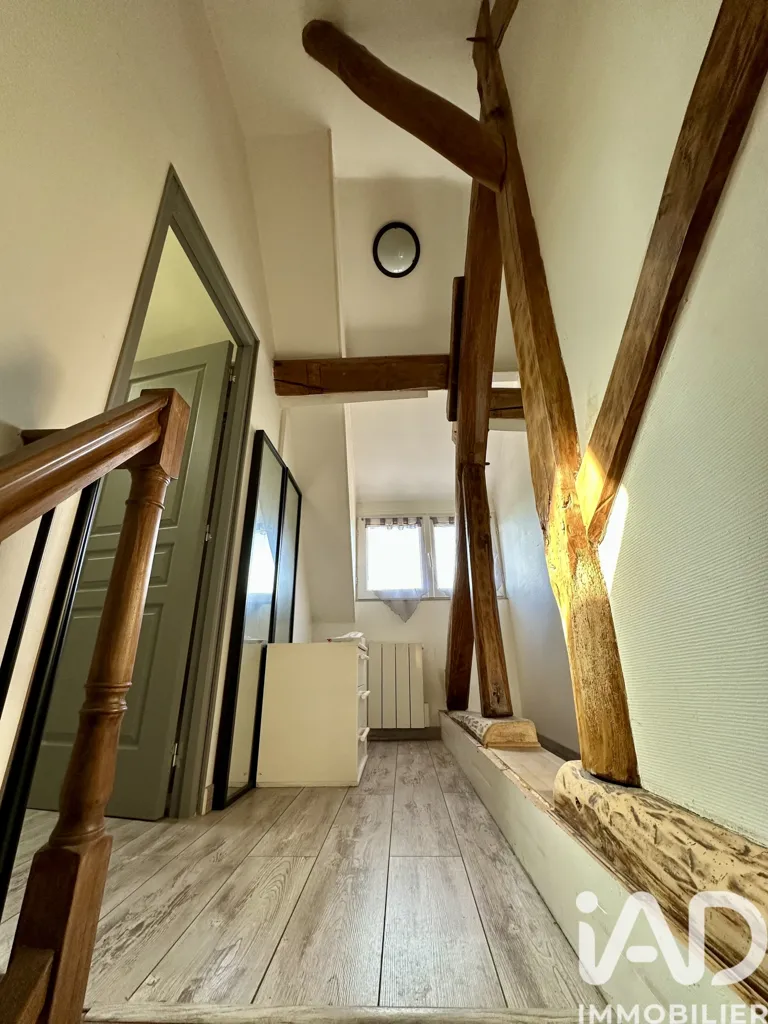 Toad - Charming House with Stone Fireplace in Billancelles