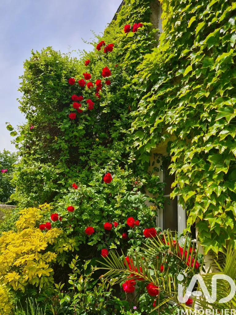 Jardin - Villa de Luxe avec Jardin à Vaux-sur-Aure