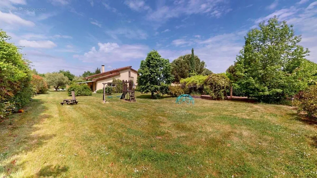 garden