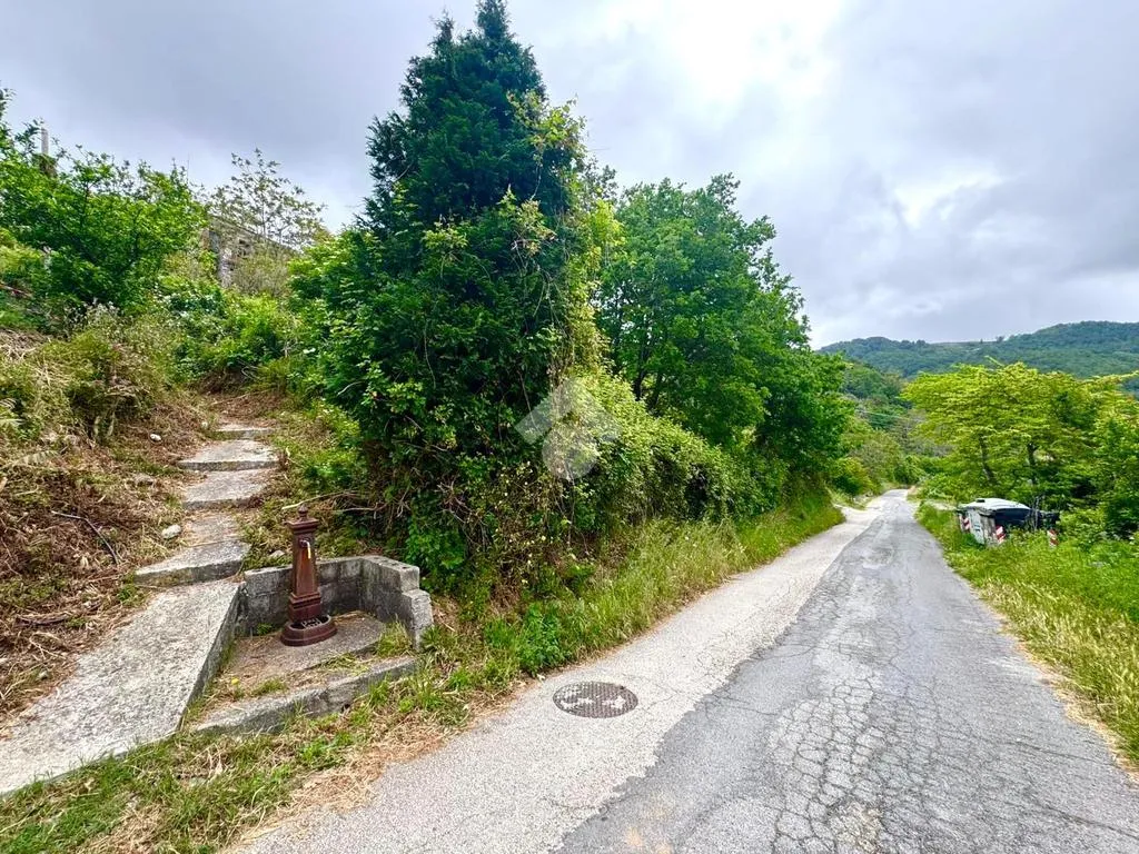 Jardin - Casa di Corte in Santa Barbara, Belmonte Calabro