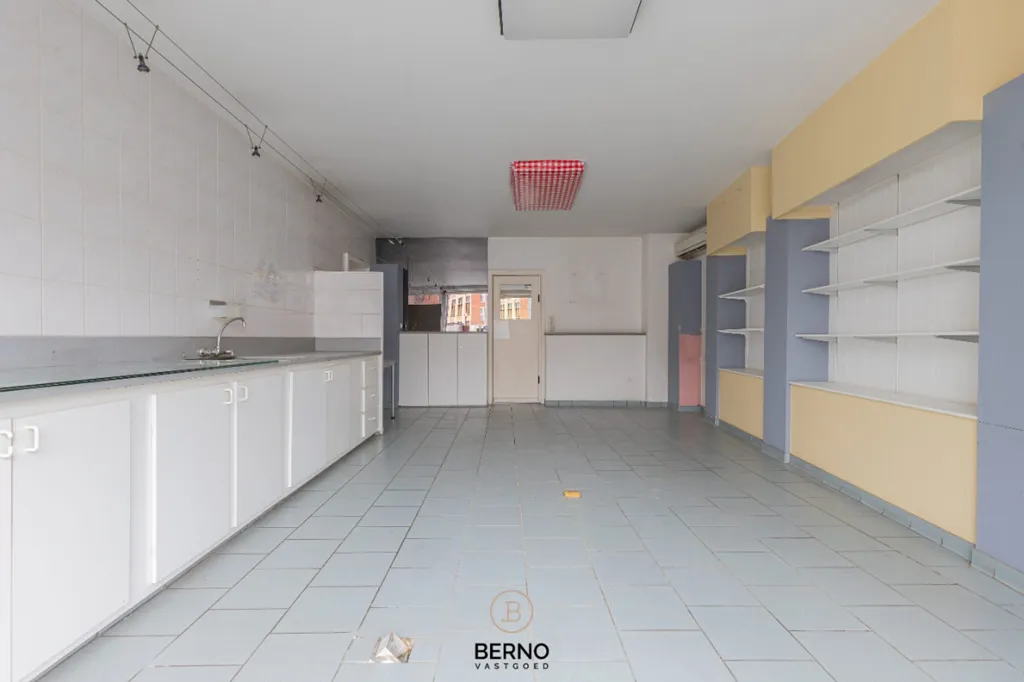 Toad - Versatile Ground Floor Flat in Dendermonde Centre