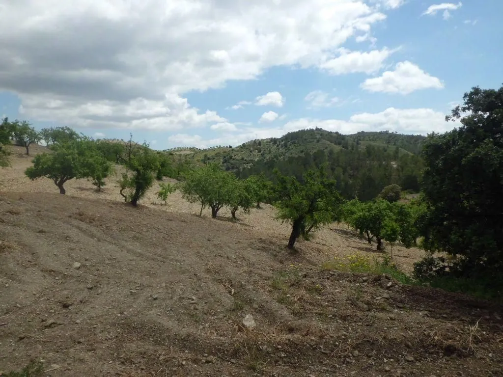 Jardin - Luxury Farmhouse with Pool in Lorca