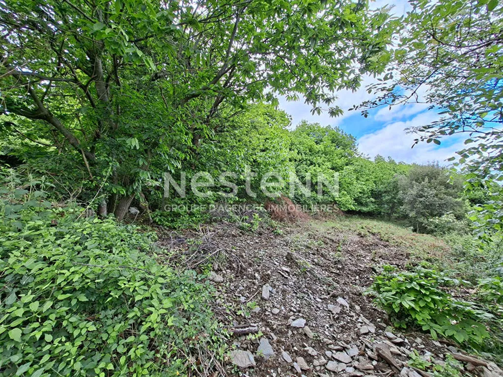 Garden - Flat Plot with Valley View in Quiet Area