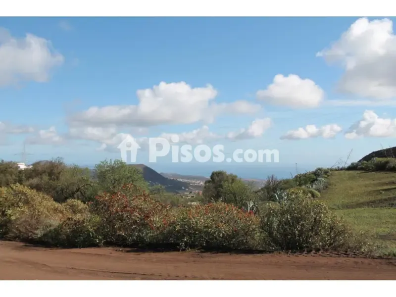 Jardin - Container House with Private Garden in Telde