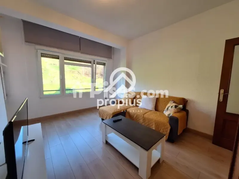 Séjour - Reformed 2-Bed Flat with Terrace in Cangas de Onís