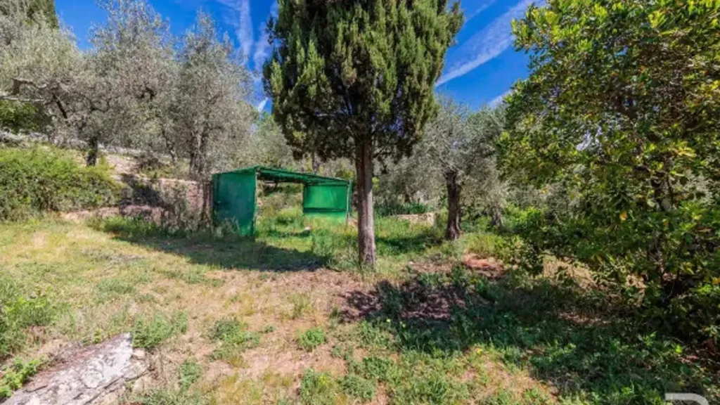 Aed - Luxury Villa with Olive Garden in Sinalunga
